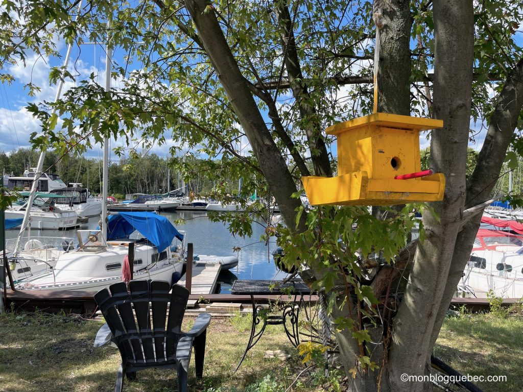 Iles de Toronto marina