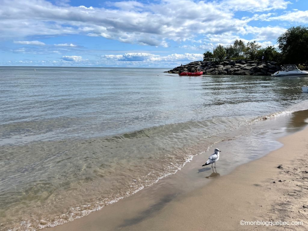 Plage de scarborough bluffs