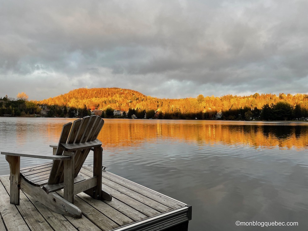 Immigration bilan saison des couleurs