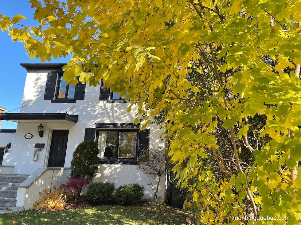 Bilan immigration au Québec acheter une maison