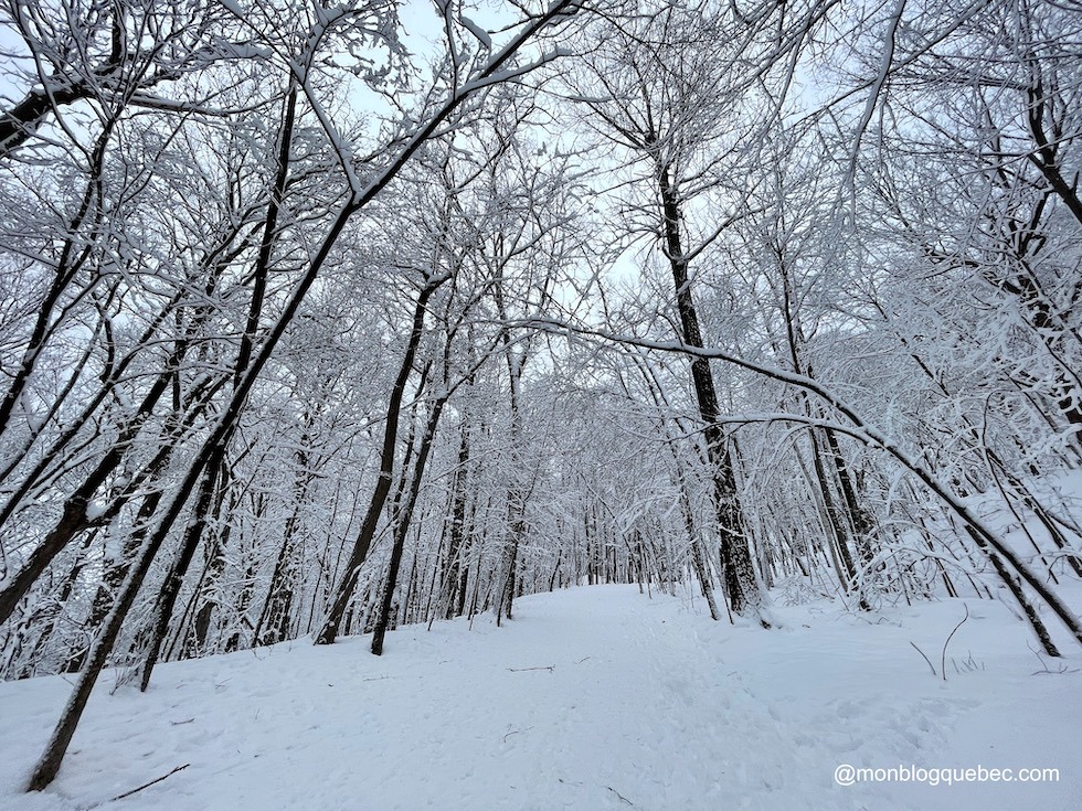 Aimer l'hiver au Québec pour la neige fraiche