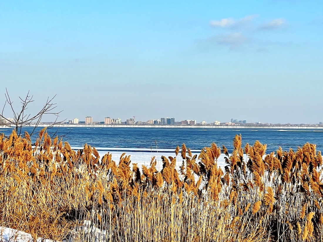 Immigre au Québec pour travailler Montreal